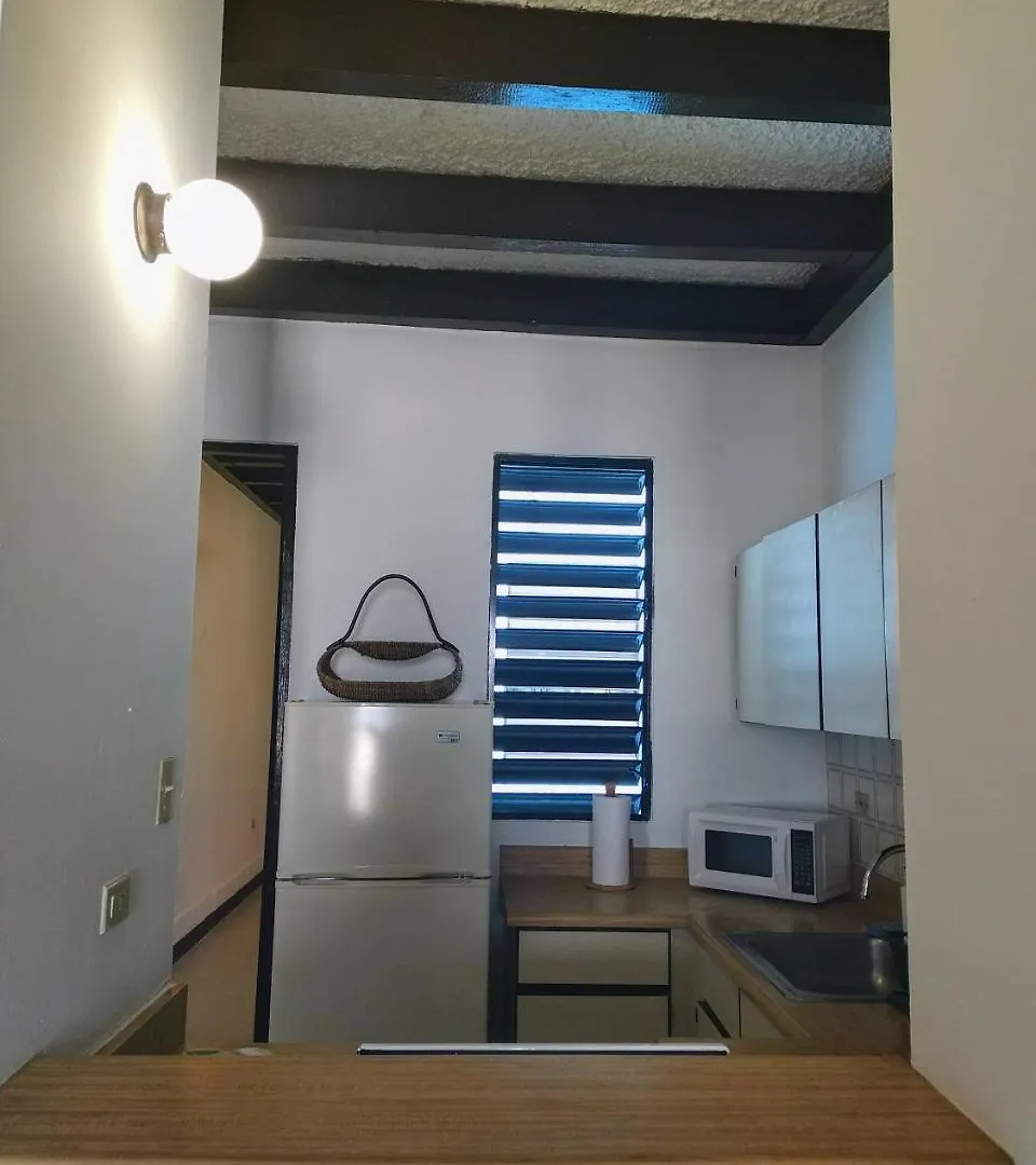 *** شقة فندقية الشقق الفندقية La Capitana Old San Juan Building بورتوريكو
